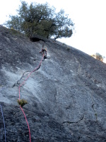 Higher on Dynamic Doubles (5.9)