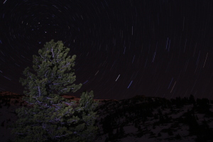 Star trails!! 24 minutes exposure