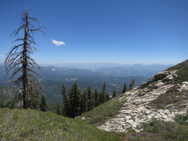 The view from Shuteye Ridge