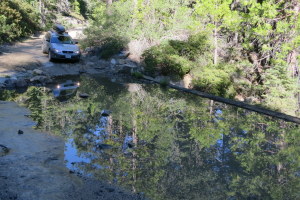 Small stream crossing :)