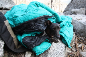 Roo was trying to keep warm once we went away from the sun :)