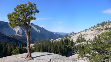 nice sights driving into Tuolumne, photo by Dave