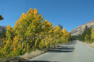 The road to Virginia Lakes