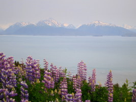 The lookout above Homer, Alaska. No way to get to these mountains except for boat or flight...