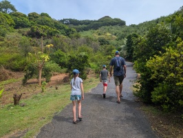 Hike up to a viewpoint after some heavy rain passed