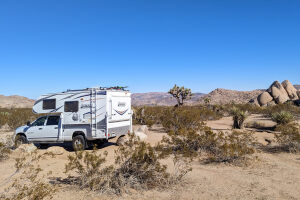 First day in Joshua Tree