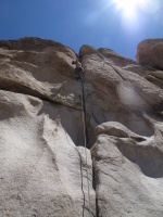 On the best 5.7 ever (and my first climb in JTree), Double Cross