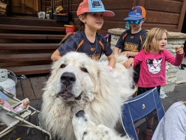 Gus-gus, an awesome neighborhood dog