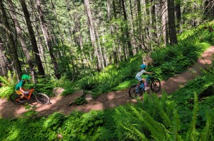 Dead Mountain Trail at Oak Ridge, Oregon