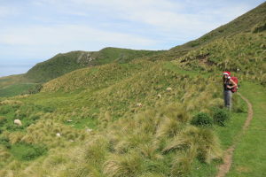Approaching the climbing area through the sheep pastures