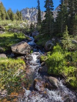 And so much water this summer, with the record snowmelt!