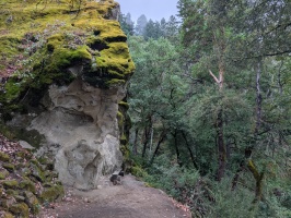 John Nicholas trail in the Bay Area is a fun mtn bike ride!