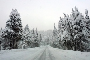 Driving to Tahoe