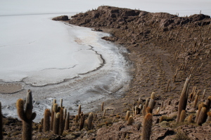 A salt beach